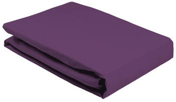 Elegante 8000 Softes Jersey Spannbettlaken viola 120x200 cm