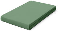 Schlafgut Spannbettlaken "PREMIUM Mako-Zwirn-Jersey, 220 g/m&sup2;, 95%...