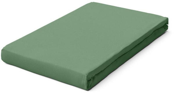 Schlafgut Premium Spannbettlaken green mid 120-130x200-220 cm