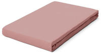 Schlafgut Spannbettlaken "PREMIUM Mako-Zwirn-Jersey, 220 g/m&sup2;, 95% Bio-Baumwolle, 5%