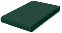 Schlafgut Spannbettlaken "PREMIUM Mako-Zwirn-Jersey, 220 g/m&sup2;, 95% Bio-Baumwolle, 5%