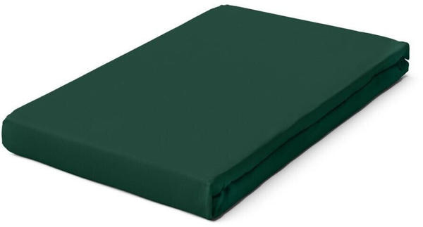 Schlafgut Premium Spannbettlaken green deep 120-130x200-220 cm