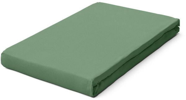 Schlafgut Premium Spannbettlaken green mid 90-100x190-220 cm