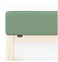 Schlafgut Spannbettlaken "EASY JERSEY ELASTHAN Bettlaken, 170 g/m&sup2;, 95% Baumwolle,