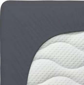 Schlafgut Pure Spannbettlaken 90x190 - 100x220cm Grey Deep Baumwollgemisch