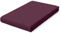 Schlafgut Spannbettlaken "PURE BOXSPRING Bio-Baumwolle mit Elasthan, 170 g/m&sup2;,