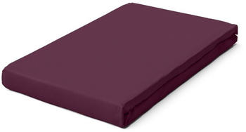 Schlafgut Pure Boxspring Bio-Spannbettlaken purple deep 180-200x200-220 cm