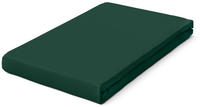 Schlafgut Spannbettlaken "PURE BOXSPRING Bio-Baumwolle mit Elasthan, 170 g/m&sup2;,