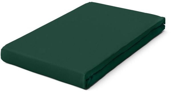 Schlafgut Pure Boxspring Bio-Spannbettlaken green deep 180-200x200-220 cm