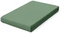 Schlafgut Spannbettlaken "PURE BOXSPRING Bio-Baumwolle mit Elasthan, 170 g/m&sup2;,