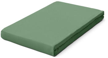 Schlafgut Pure Boxspring Bio-Spannbettlaken green mid 180-200x200-220 cm