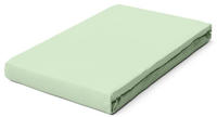 Schlafgut Spannbettlaken "PURE BOXSPRING Bio-Baumwolle mit Elasthan, 170 g/m&sup2;,