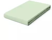 Schlafgut Spannbettlaken "PURE Bio-Baumwolle mit Elasthan, 170 g/m&sup2;, Bettlaken,