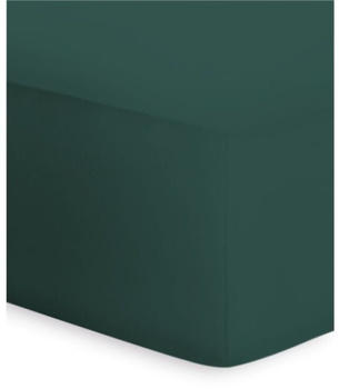 Bassetti Boxspring Jersey-Elasthan Spannbettlaken verde 90-100 x 190-220 cm