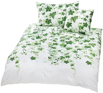 Traumschlaf Mako-Satin Bettwäsche Efeu 135x200+80x80 cm