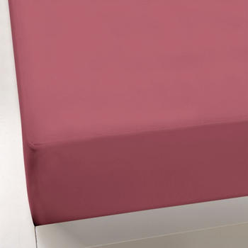Formesse Bella Gracia Spannbetttuch 90x190 - 100x220 cm 0567 Vintage Rose