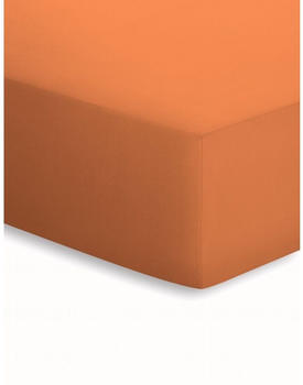 Bassetti Boxspring Jersey-Elasthan Spannbettlaken apricot 893 90-100x190-220 cm