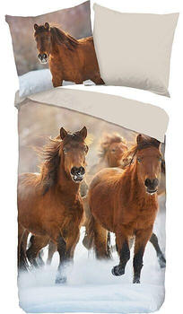 Good Morning Flanell Wendebettwäsche Ponies bunt 135x200+80x80 cm (505621)