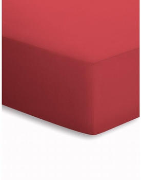 Bassetti Boxspring Jersey-Elasthan Spannbettlaken coralle 687 180-200x200-220 cm
