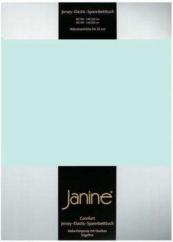 Janine Jersey Elastic Spannbetttuch 90x190 cm - 100x220 cm morgennebel