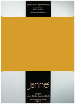 Janine Jersey Elastic Spannbetttuch 140x200 cm - 160x220 cm honiggold