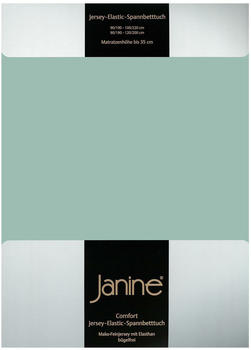 Janine Jersey Elastic Spannbetttuch 90x190 cm - 100x220 cm rauchgrün