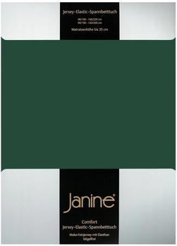 Janine Jersey Elastic Spannbetttuch 90x190 cm - 100x220 cm waldgrün