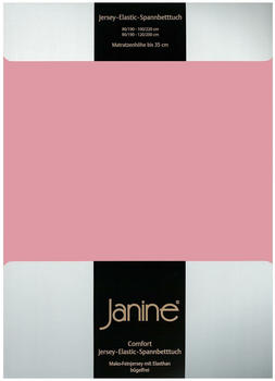 Janine Jersey Elastic Spannbetttuch 90x190 cm - 100x220 cm altrose