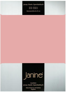 Janine Jersey Elastic Spannbetttuch 90x190 cm - 100x220 cm zartmauve