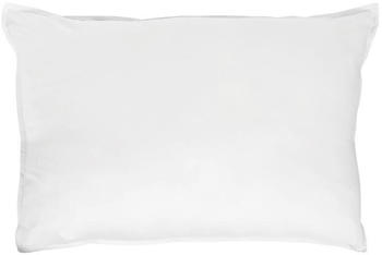 Traumschlaf Uni Single Jersey Bettwäsche Eschle Kissenbezug 2x 40x80 cm white