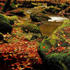 Traumschlaf Bettwäsche Herbstwald 135x200+80x80 cm