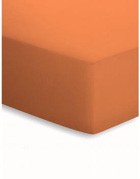 Bassetti Jersey-Elasthan Spannbettlaken apricot 893 180-200x200-220 cm