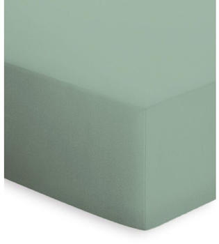 Bassetti Jersey-Elasthan Spannbettlaken salvia 180-200 x 200-220 cm