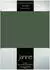Janine Jersey Elastic Spannbetttuch 140x200 cm - 160x220 cm olivgrün