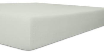 Kneer Kissenbezug mit Marken Ombracio Pillow ca. 54/48 cm 09 Platin