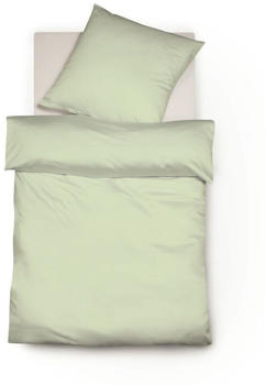Fleuresse Colours Interlock Jersey Bettw&auml;sche-Garnitur pastellgr&uuml;n 135x200+80x80 cm