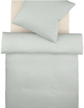 Fleuresse Colours Interlock Jersey Bettw&auml;sche-Garnitur silber 155x200+80x80 cm
