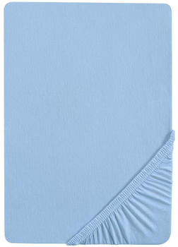 Biberna 77144 Jersey-Stretch 90x190-100x200cm eisblau