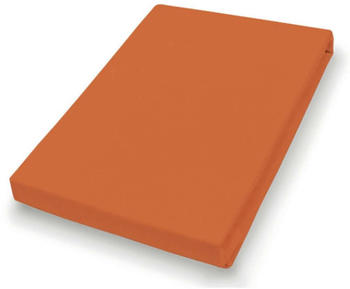 H.G. Hahn-Haustextilien Jersey-Spannlaken Basic 140-160 x 200 cm terra