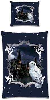Beronage Harry Potter Stars 135x200+80x80 cm blau