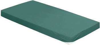 Irisette Vesuv 0012 140-160 x 200-220 cm Gr&uuml;n