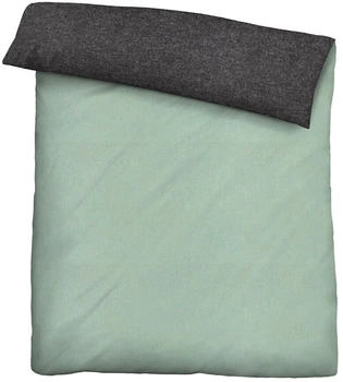 Biberna Uni-Melange Flanell 840500 135 x 200 + 80 x 80 cm Mint Biberna Uni-Melange Flanell 840500 135 x 200 + 80 x 80 cm Mint