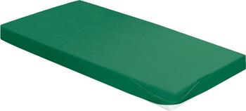 Irisette Jupiter 0008 140-160 x 200 cm Moos