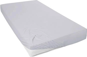 Prinz Exklusiv Mako-Jersey Spannbetttuch 02010 140-160 x 200 cm Hellgrau