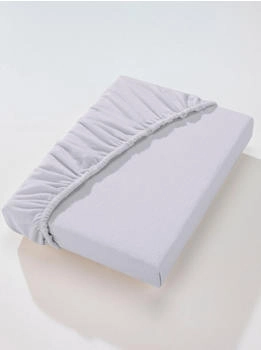 Dormisette Edelbiber Q199 90-100 x 190-200 cm silver