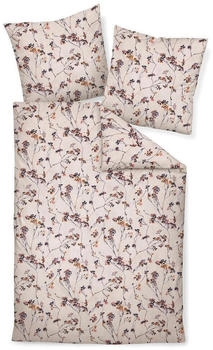 Janine Feinbiber Davos 65154 lila weinbeere 155x220+80x80 cm Janine Feinbiber Davos 65154 lila weinbeere 155x220+80x80 cm