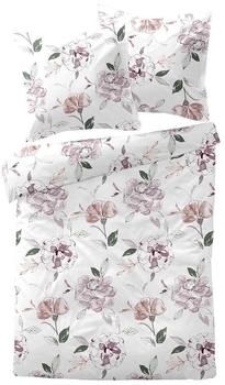Traumschlaf Biber Atherton rose 155x220+80x80 cm