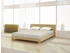 Mister Sandman Spannbetttuch Elastan basic 140-160 x 200-220 cm