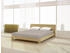 Mister Sandman Spannbetttuch Elastan basic 180-200 x 200-220 cm
