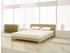 Mister Sandman Spannbetttuch Elastan classic 120-130 x 200-220 cm